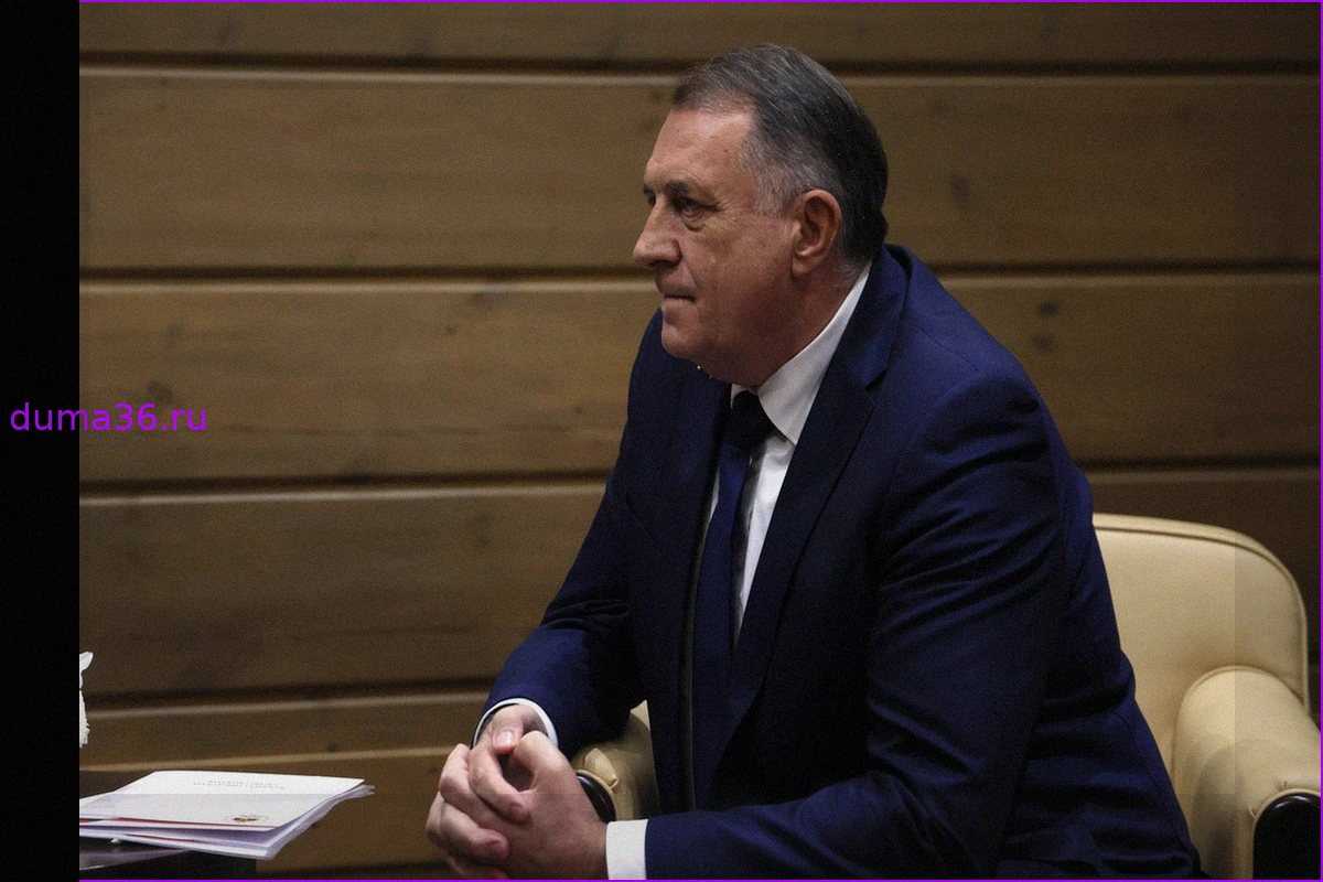 Додик: Украина пыталась закупить оружие у боснийских мусульман