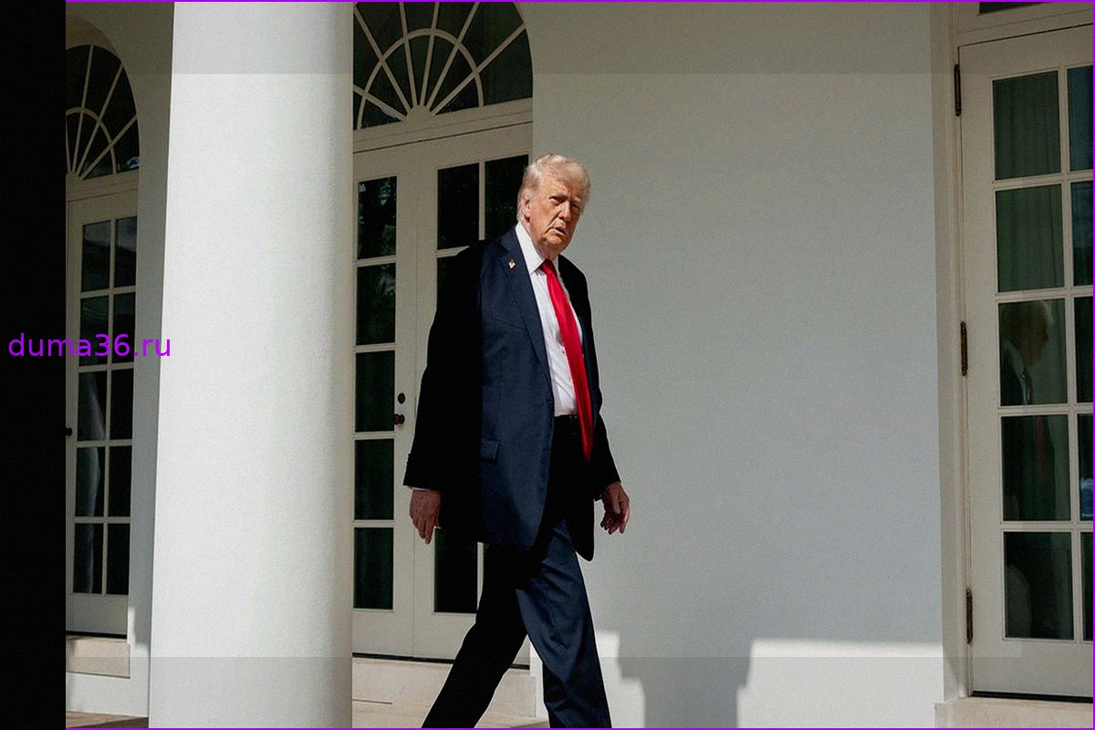 Визит Дональда Трампа в Китай: Между стремлением к сотрудничеству и геополитическими разногласиями
