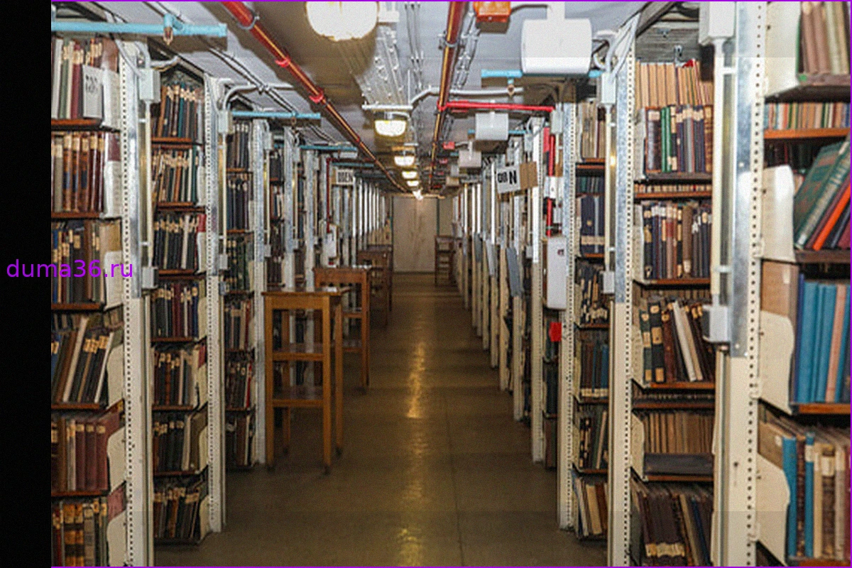 Минцифры предупреждает: До 70% книг могут изъять из библиотек