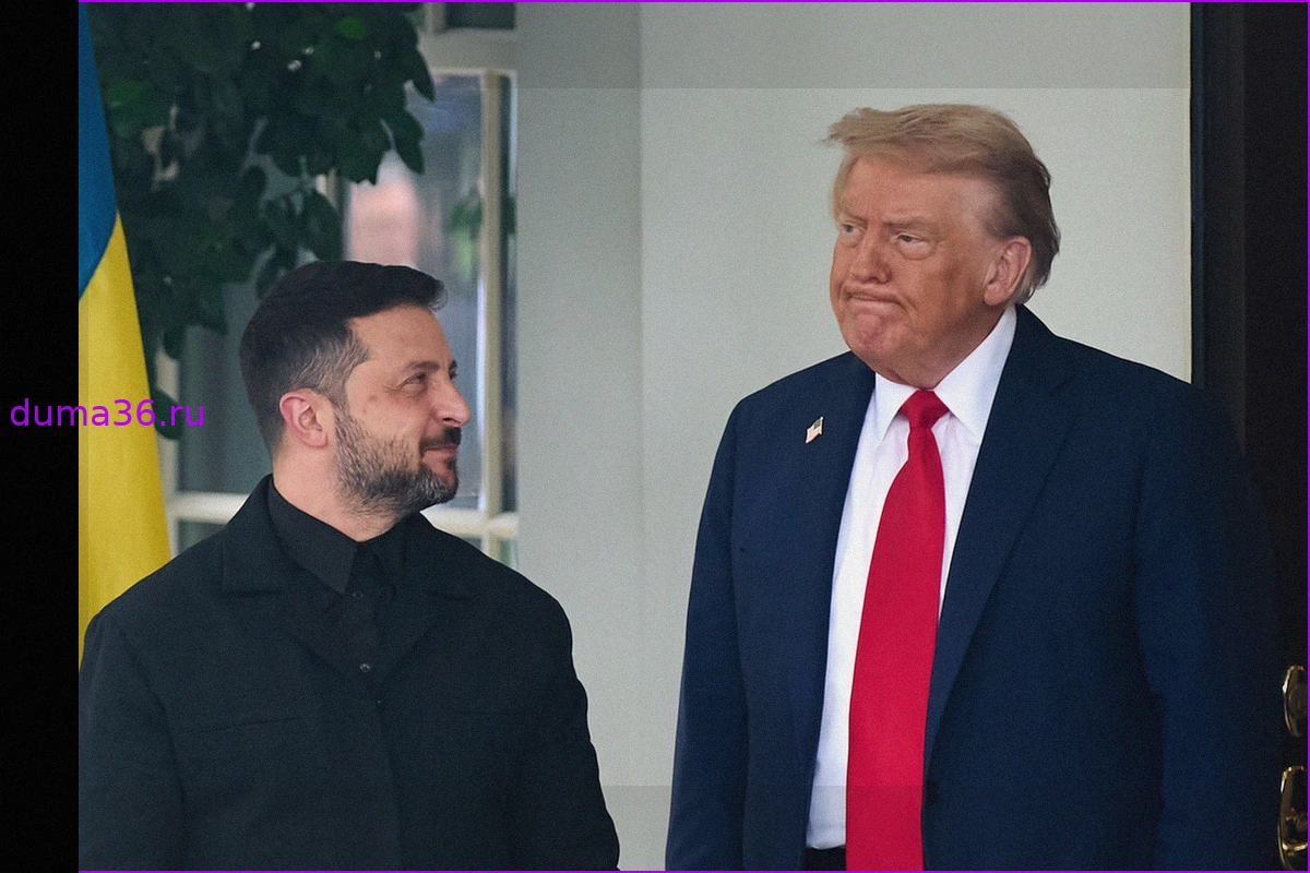 Письмо Зеленского Трампу: почему оно оказалось выгодным для Путина