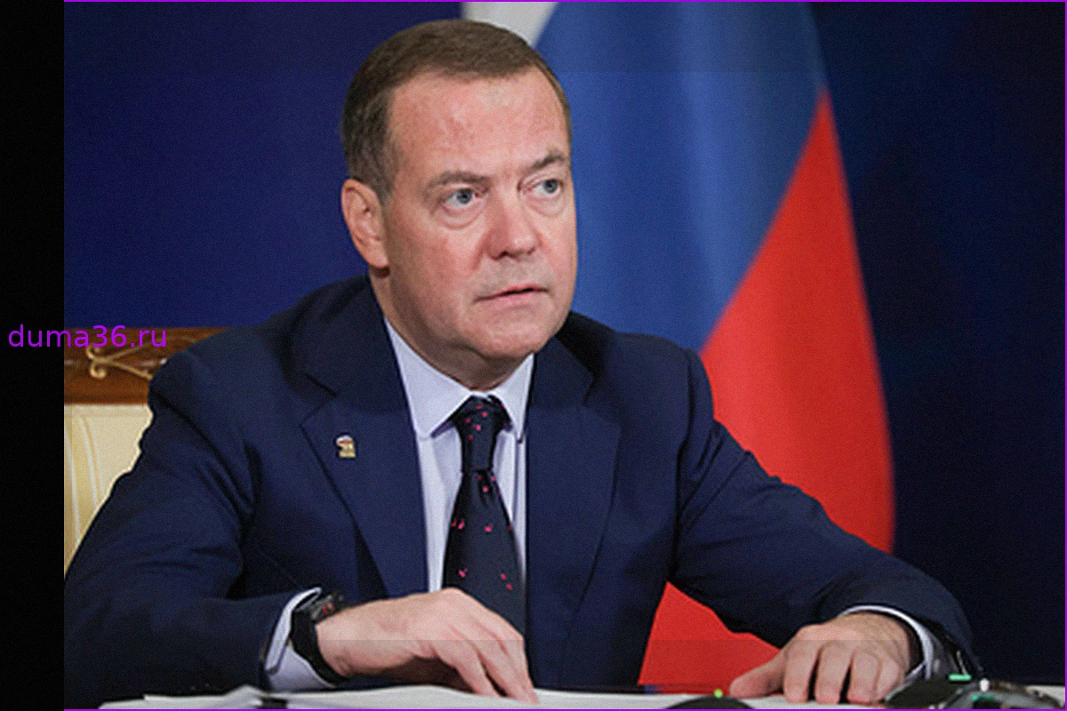 Дмитрий Медведев: "Единая Россия" не преследует цель полного контроля в парламенте