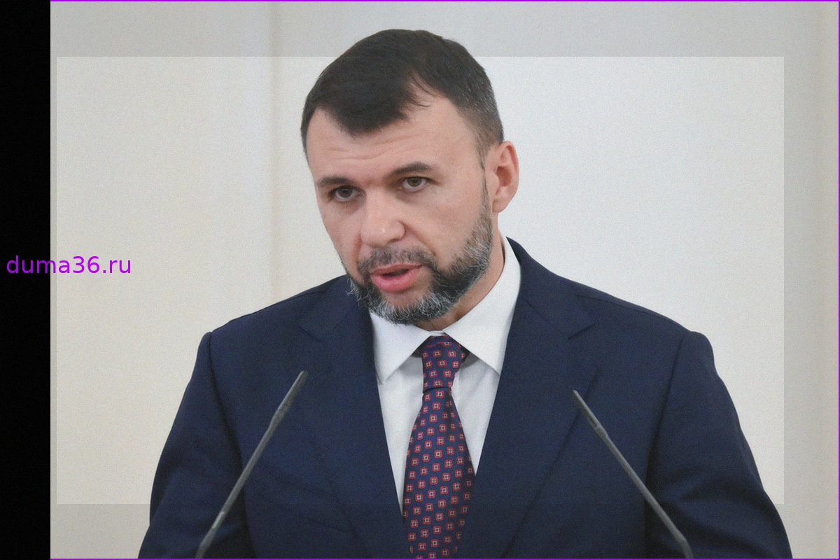 Пушилин заявил о повреждении национального парка «Святые горы» в ДНР