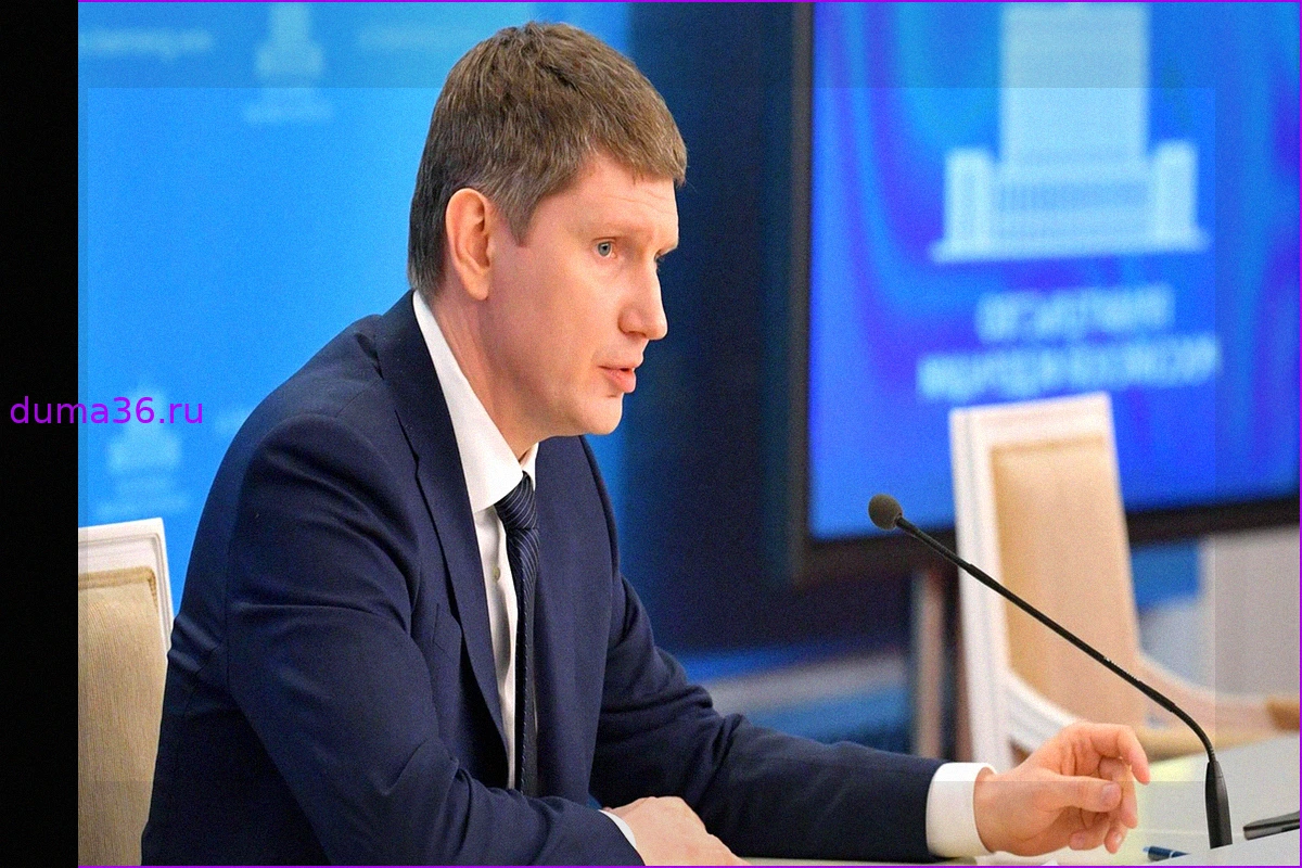 Решетников допустил поправки в закон о платформенной экономике