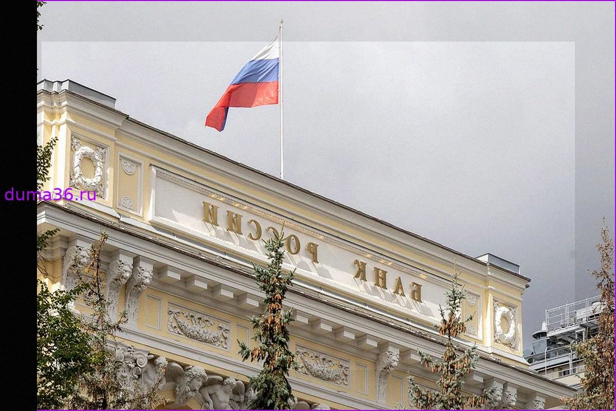 Центробанк РФ оспаривает в суде ЕС механизм использования замороженных активов