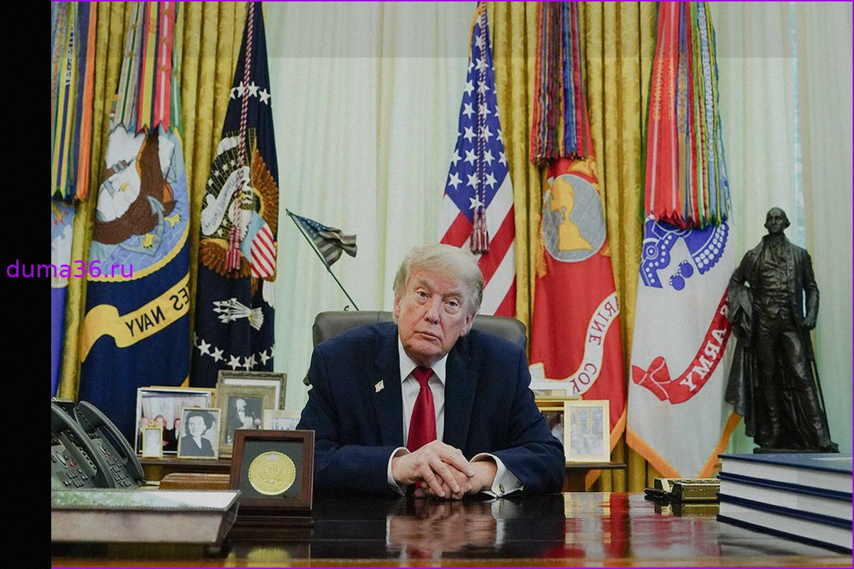 The Telegraph рассказала о поиске Трампом «козлов отпущения» из-за неудач
