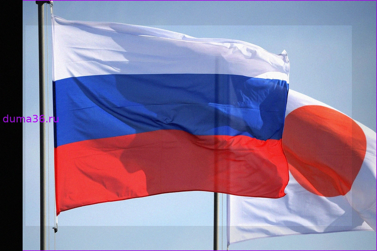 Япония может ввести новые санкции против России
