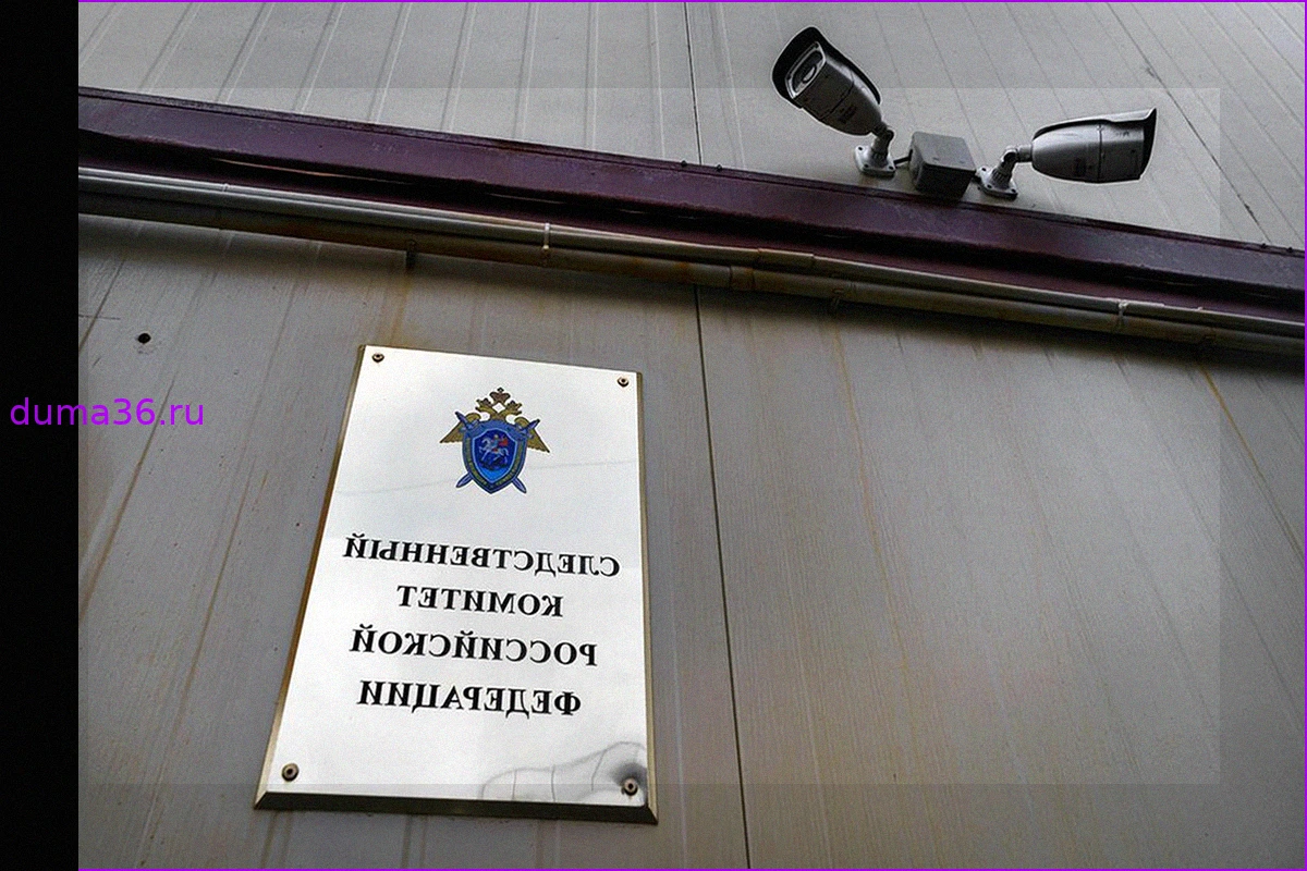 Дело о нападении на экс-судью в Челябинске: Бастрыкин запросил доклад