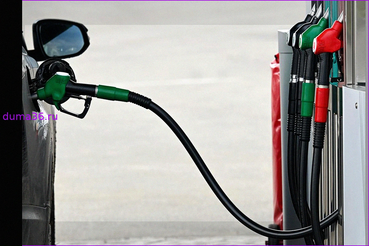 ФАС напомнила нефтяным компаниям о недопустимости необоснованного роста цен на топливо
