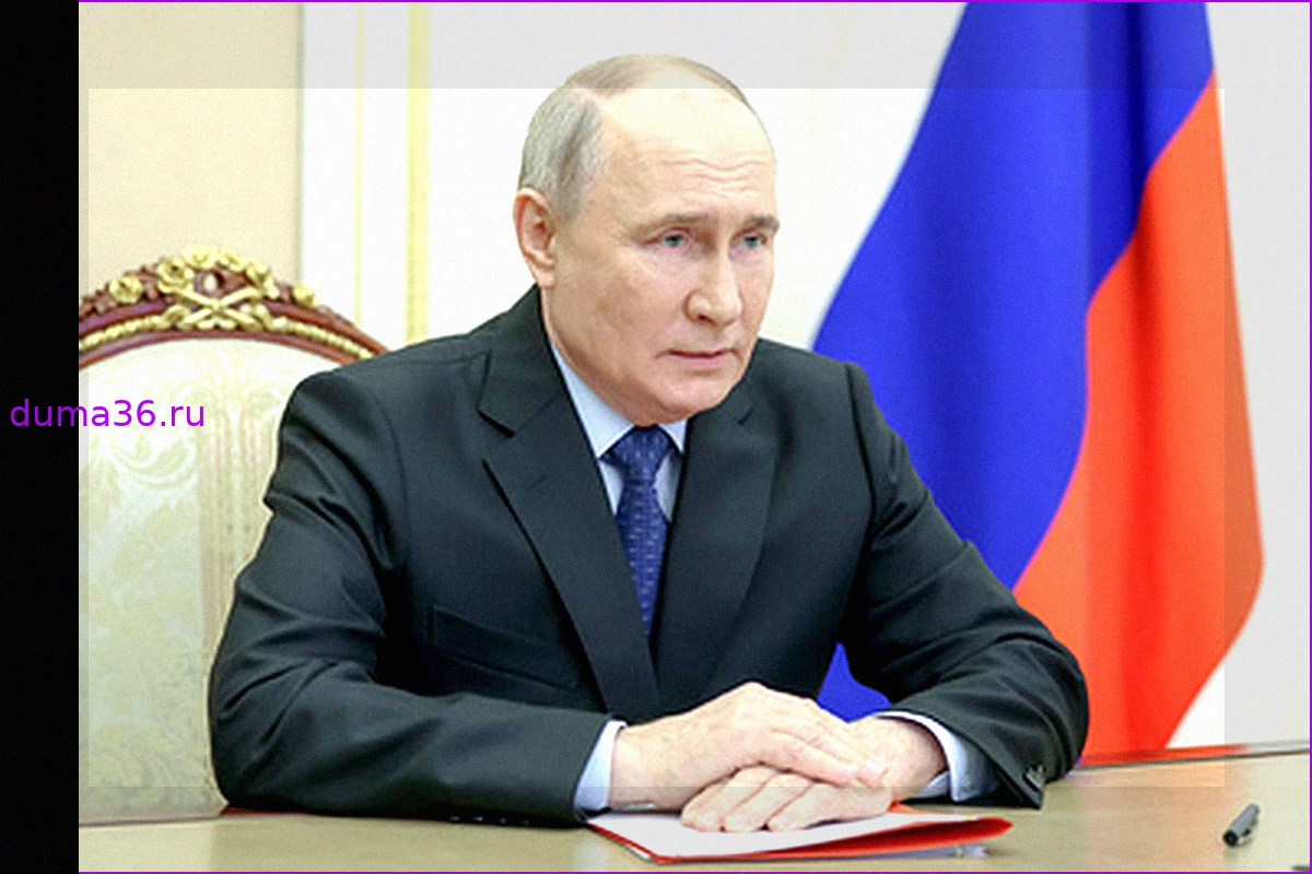 Путин и Патрушев обсудили ход посевной кампании и поддержку аграриев