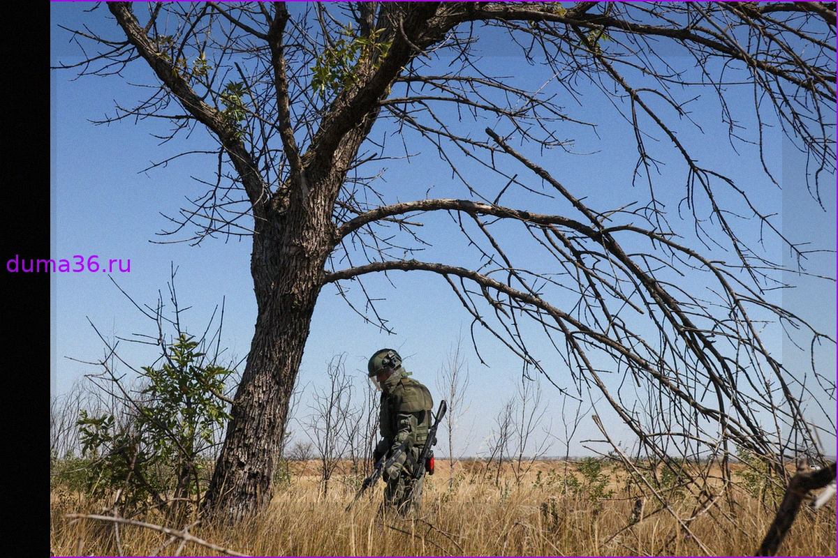 В Сочи и Сириусе объявили угрозу атаки БПЛА