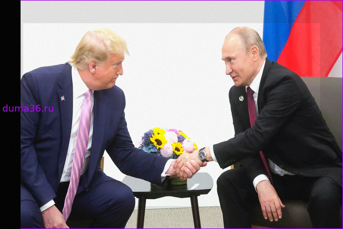В МИД оценили вероятность встречи Путина и Трампа на саммите АТЭС