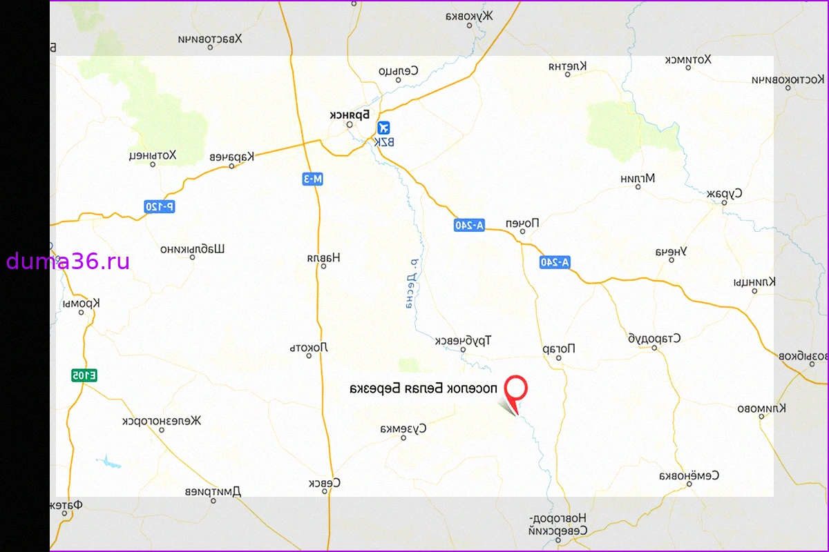 Мирный житель погиб в Брянской области после обстрела ВСУ