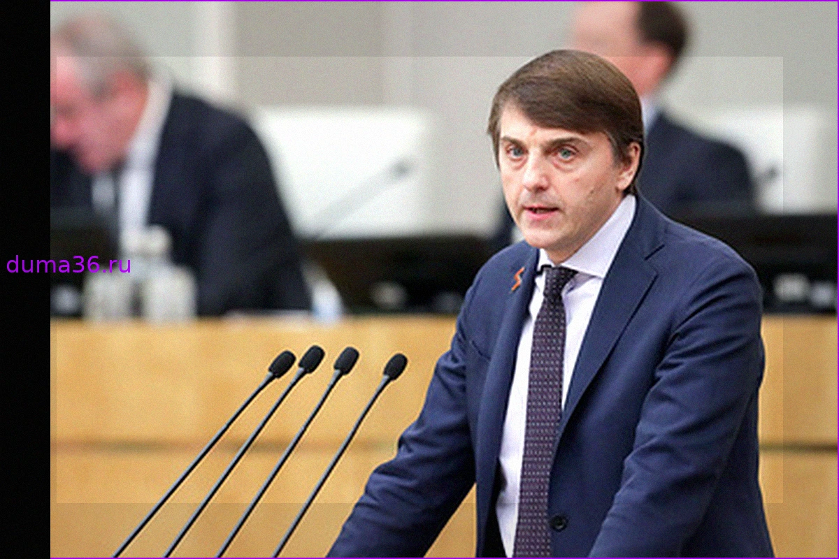Кравцов: российские учебники истории не сеют вражду, как в других странах
