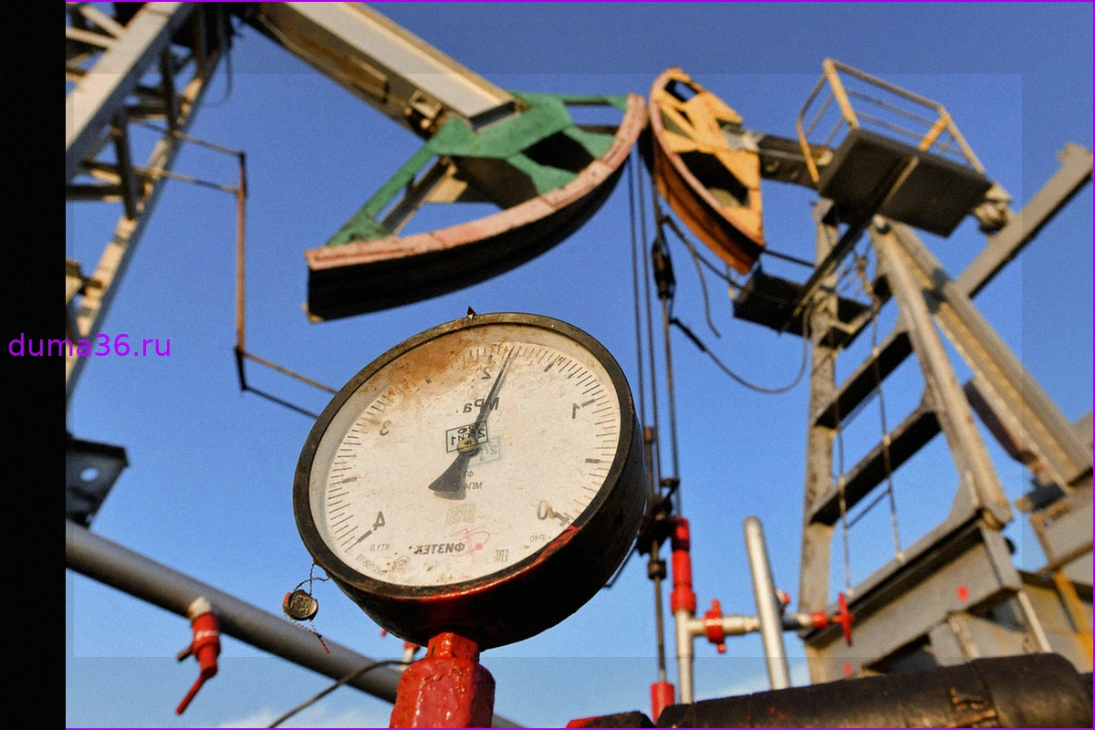 Россия и Индия Укрепляют Сотрудничество против Нефтяных Санкций США