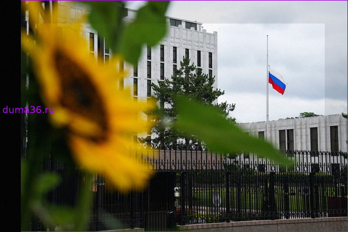 Американский юрист оценил законность изъятия США российской собственности