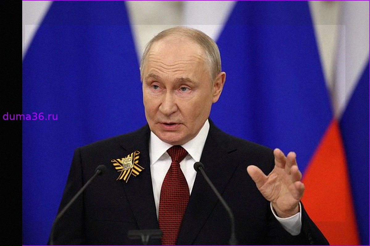 Немецкие депутаты поддержали идею Путина о посредничестве Шредера