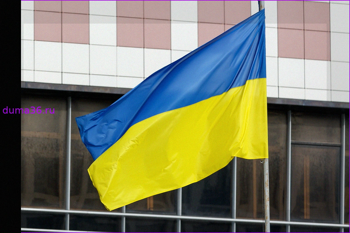 Экс-премьер Украины обратился к Западу с предложением насчет Украины