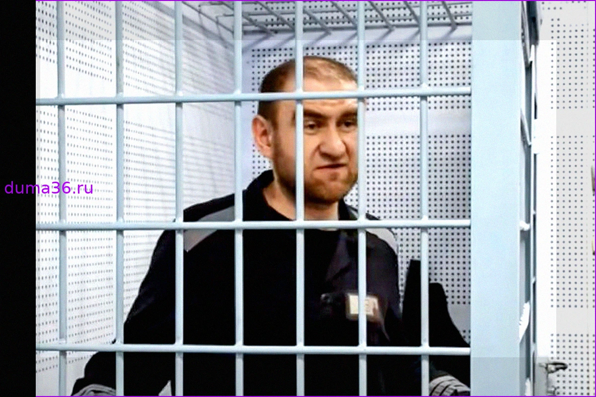 Экс-сенатор Арашуков предлагал взятки сотрудникам «Черного дельфина»