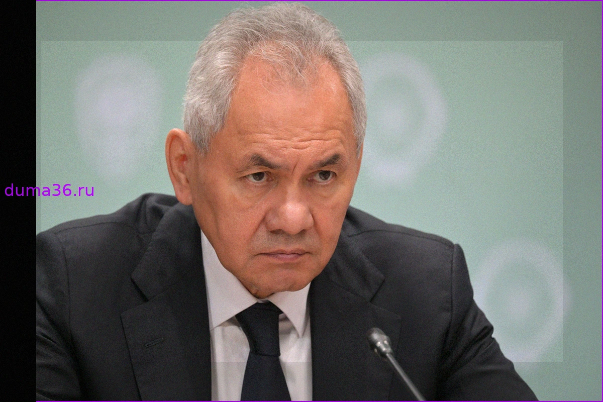 Шойгу: почему мирные инициативы по Украине не дают результата