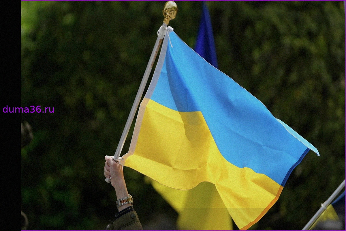 Украина готовит боевиков из Африки для борьбы с Россией, сообщил источник