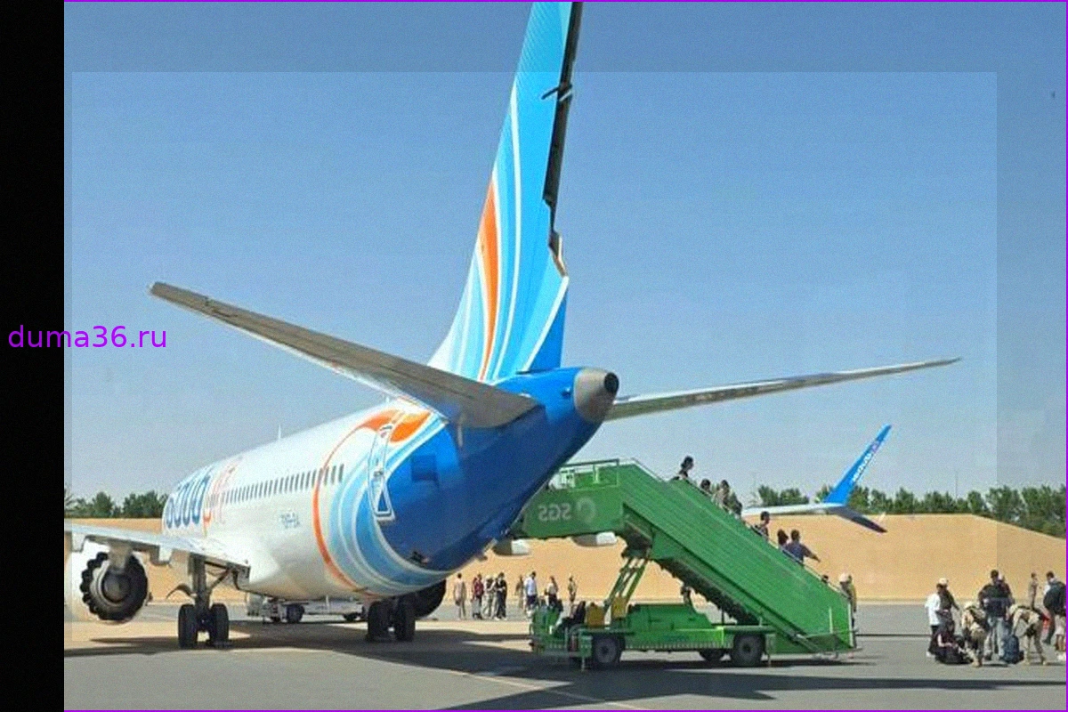 Трамп заявил, что самолет Flydubai спас сантехник