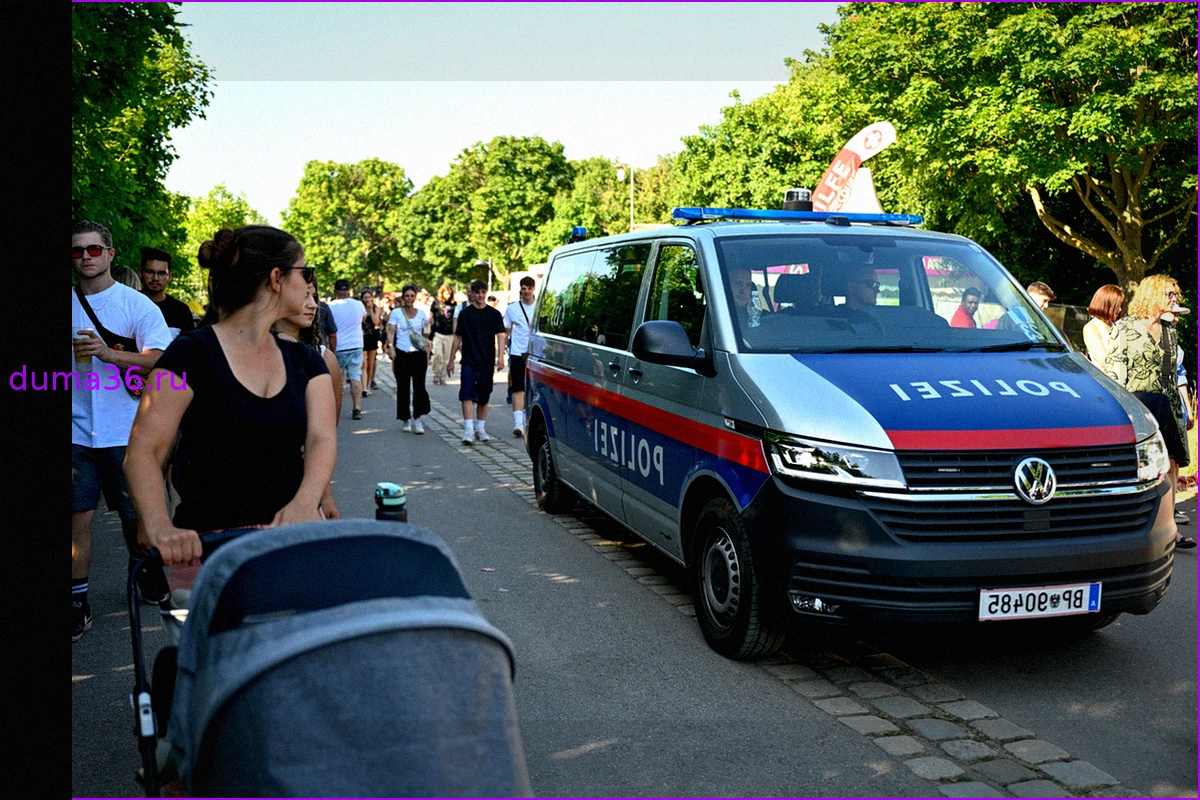 В Австрии начато расследование осквернения памятника советским воинам в Вене