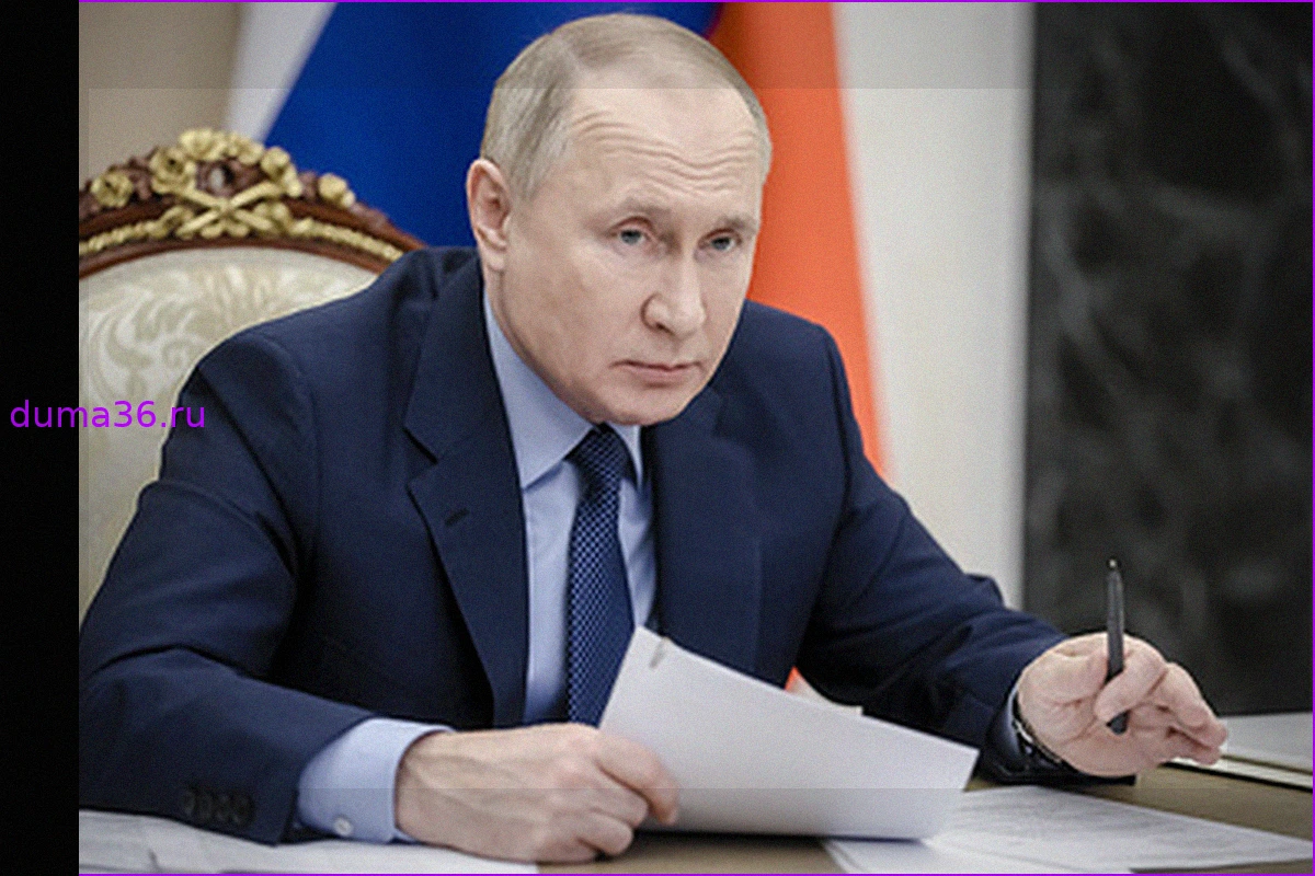 Путин: Россия и Китай уделят особое внимание прорывным образовательным направлениям