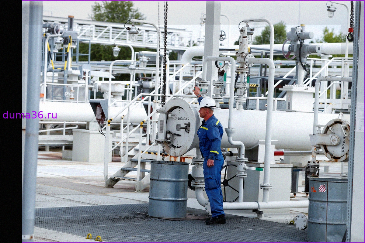 В Госдуме объяснили скрытую выгоду России от паузы в транзите нефти по «Дружбе»