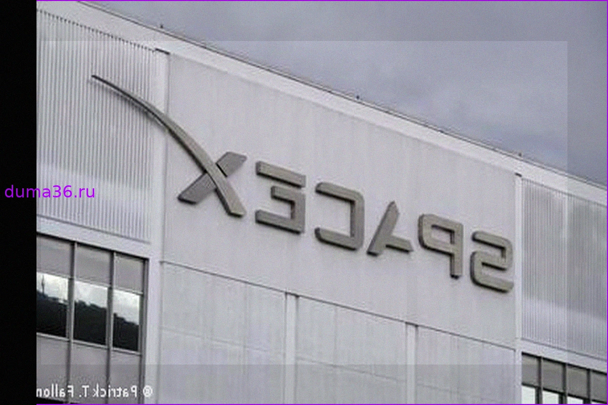 SpaceX Илона Маска планирует IPO, несмотря на миллиардные убытки
