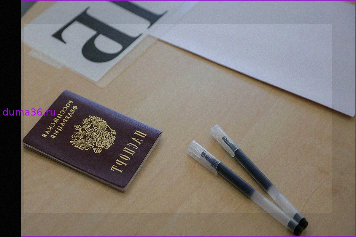Права выпускников на ЕГЭ: что нужно знать об апелляции и особых условиях