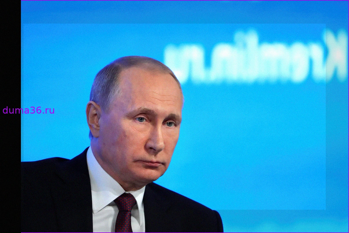 Путин сообщил о значительном продвижении российских войск под Добропольем