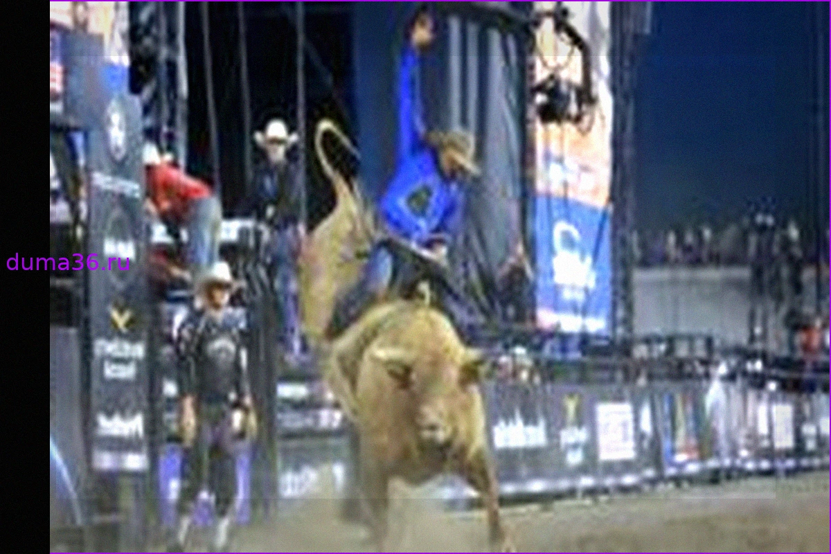 Необычные методы привлечения: Ковбои, истребители и Пограничная служба США в кампании по набору