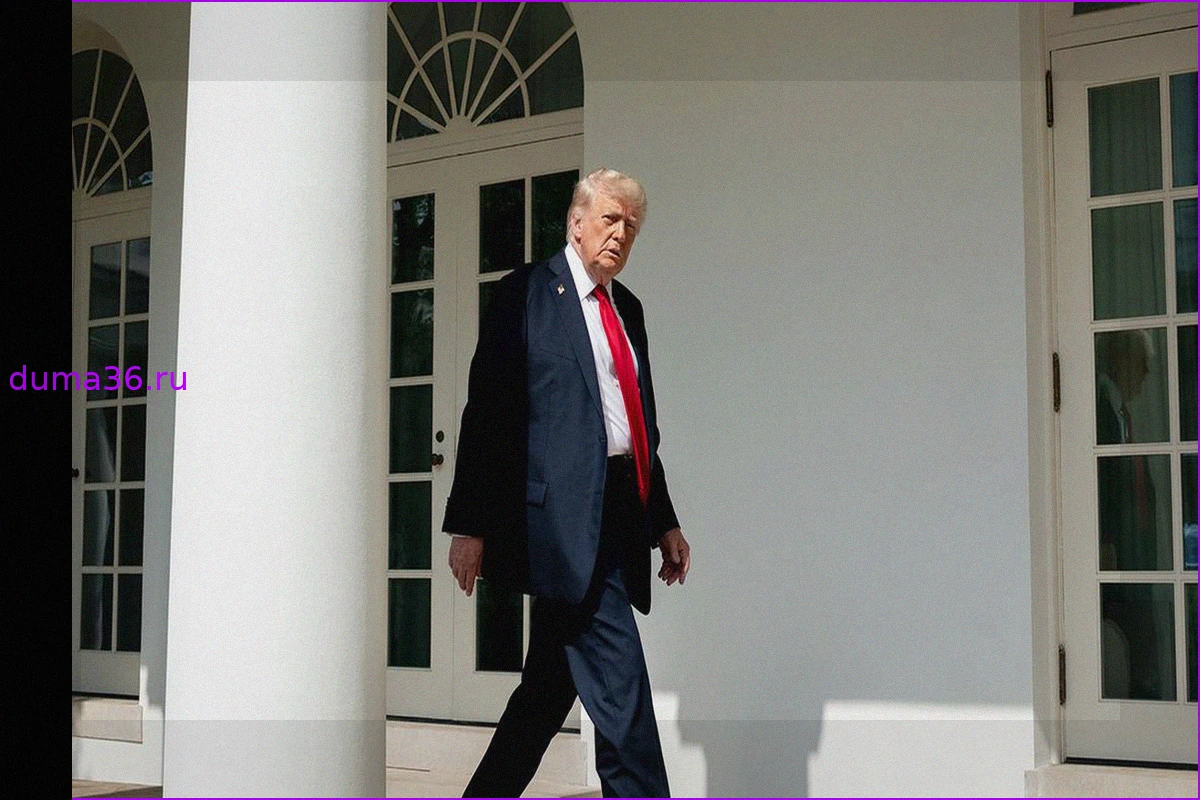 Трамп опроверг данные, что Цзиньпин заявил, будто РФ будет жалеть о начале СВО