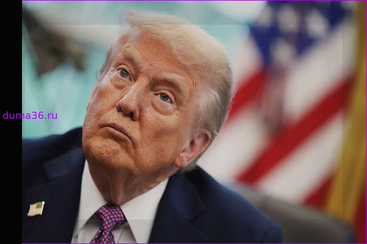 Трамп отказался от дружбы с премьер-министром Италии Джорджей Мелони