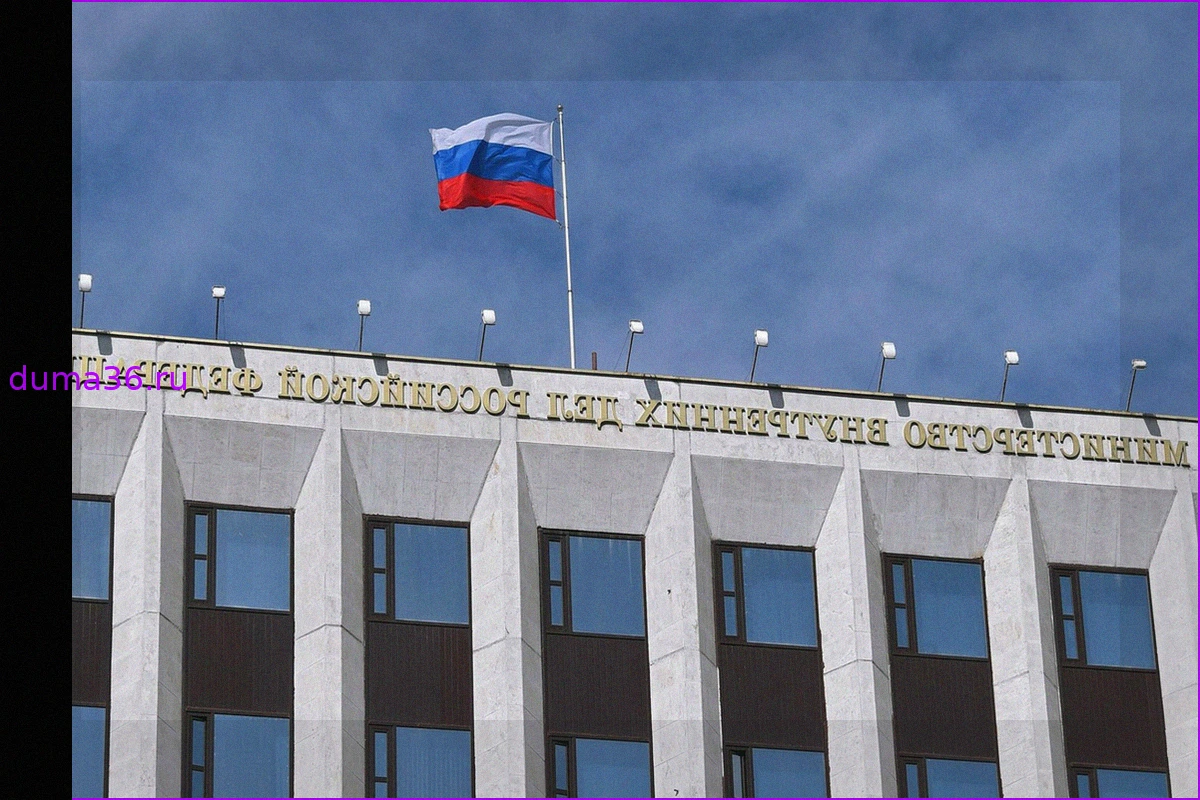 В России могут изменить условия пребывания иностранных водителей